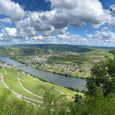 Moselbluemchen Amelie * Piesport