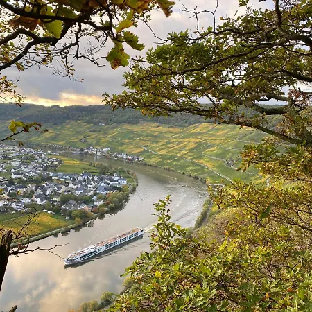 Apartamento Moselbluemchen Amelie Piesport