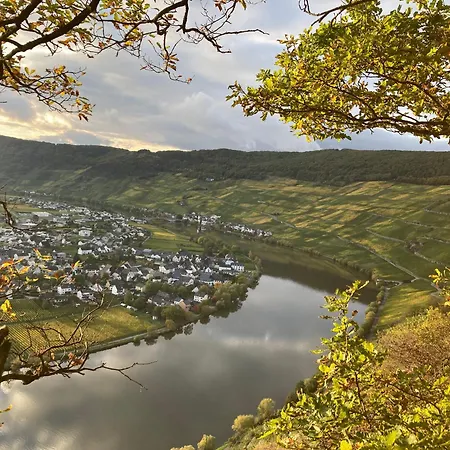 Moselbluemchen Amelie Apartamento