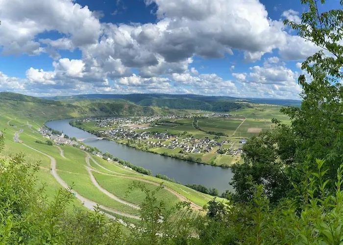 Moselbluemchen Amelie * Piesport